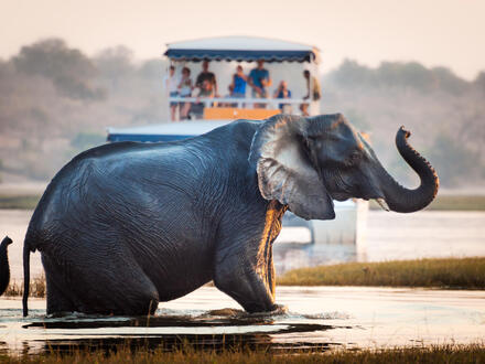 14 Tage Rundreisen Südafrika, Botswana & Simbabwe: Safari, Wasserfälle & Kulturerbe entdecken Unkategorisiert online kaufen