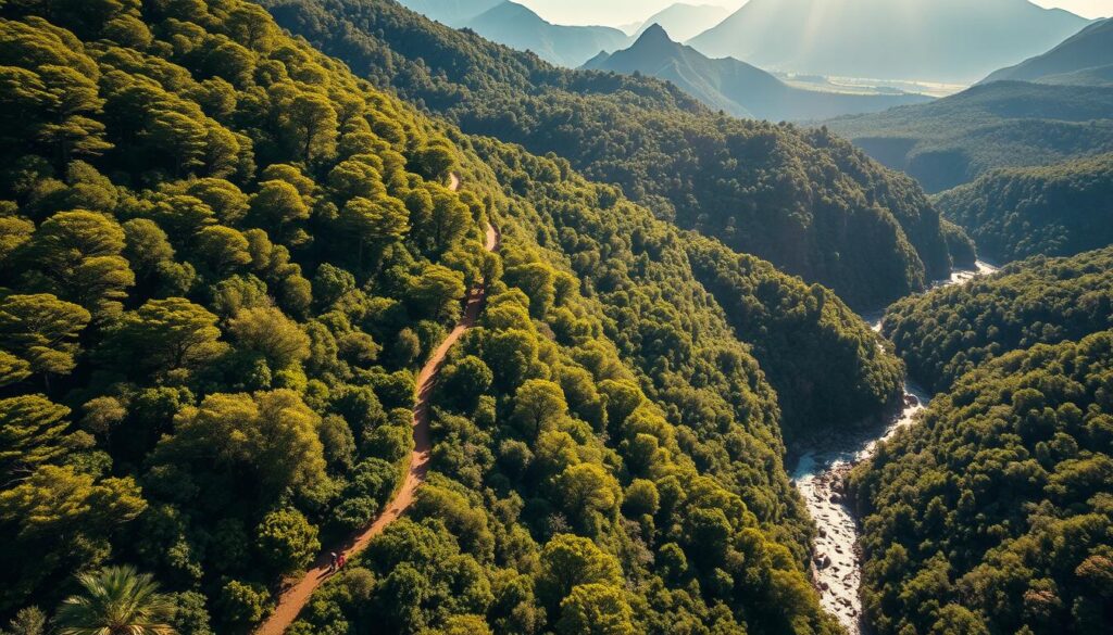 Wanderwege im Nationalpark