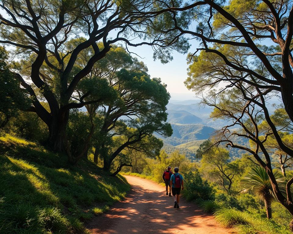 Aktivitäten Garden Route