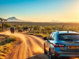 mietwagenreise durch südafrika