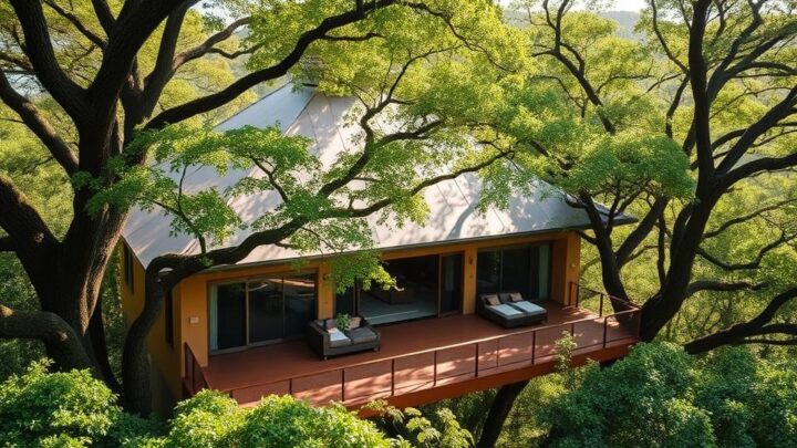 Tsala Treetop Lodge Südafrika – Luxus im Baumwipfel